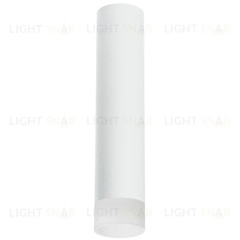 Накладной светильник Lightstar Rullo R49631 (214496+202431) R49631