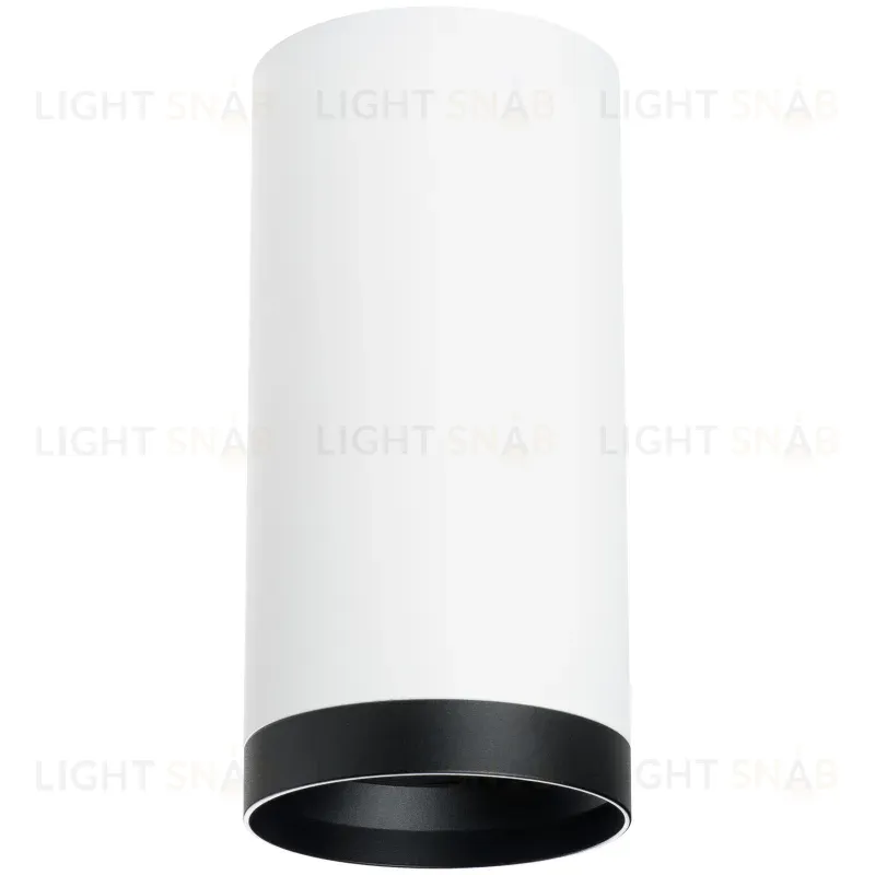 Накладной светильник Lightstar Rullo R64863487 (216486+203487) R64863487