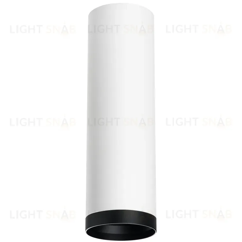 Накладной светильник Lightstar Rullo R64963487 (216496+203487) R64963487
