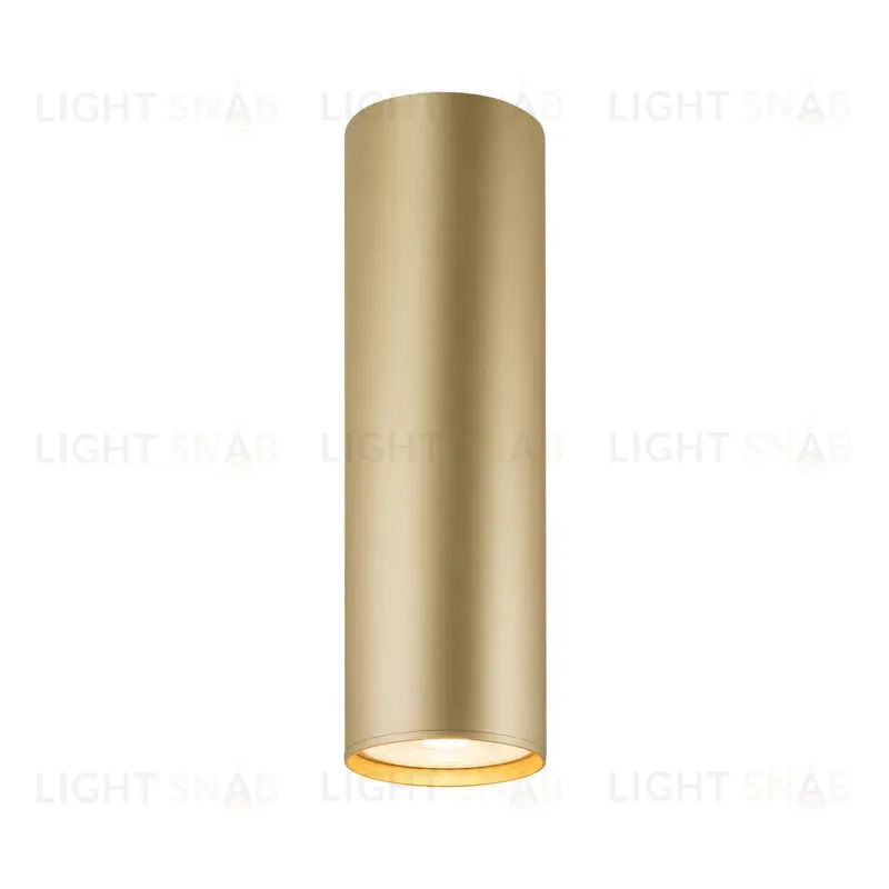 Накладной светильник Denkirs Tube DK2052-SG DK2052-SG
