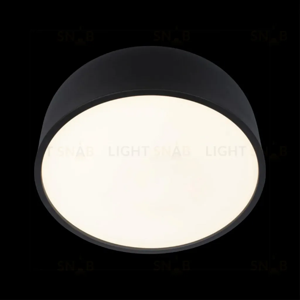 Потолочный светильник Loft IT Axel 10201/350 Black 10201/350 Black