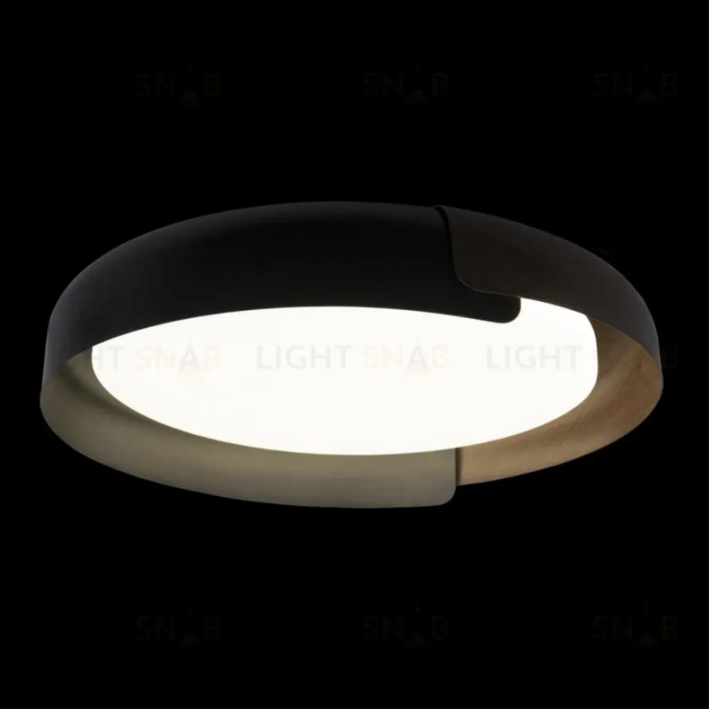 Потолочный светильник Loft IT Coin 10198 Black 10198 Black