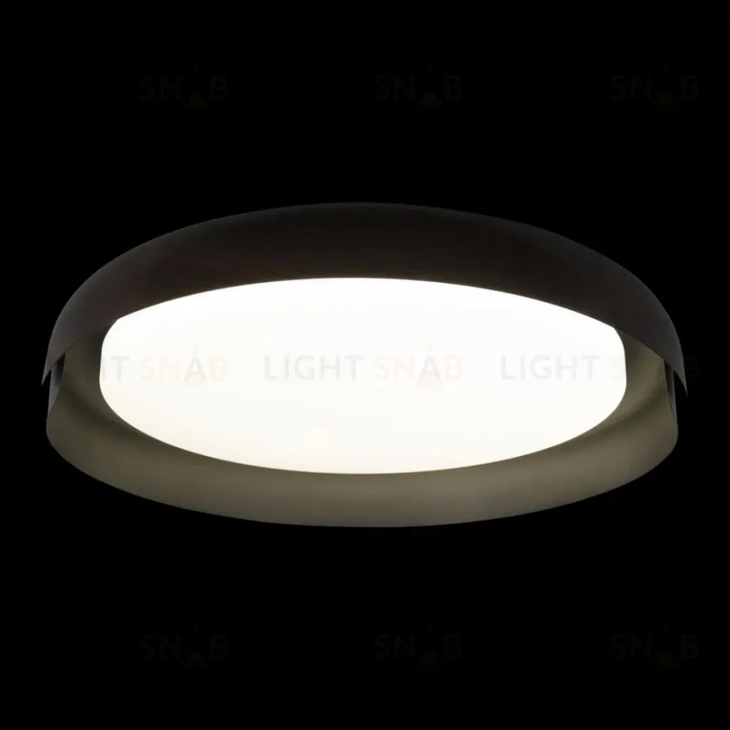 Потолочный светильник Loft IT Coin 10198 Black 10198 Black