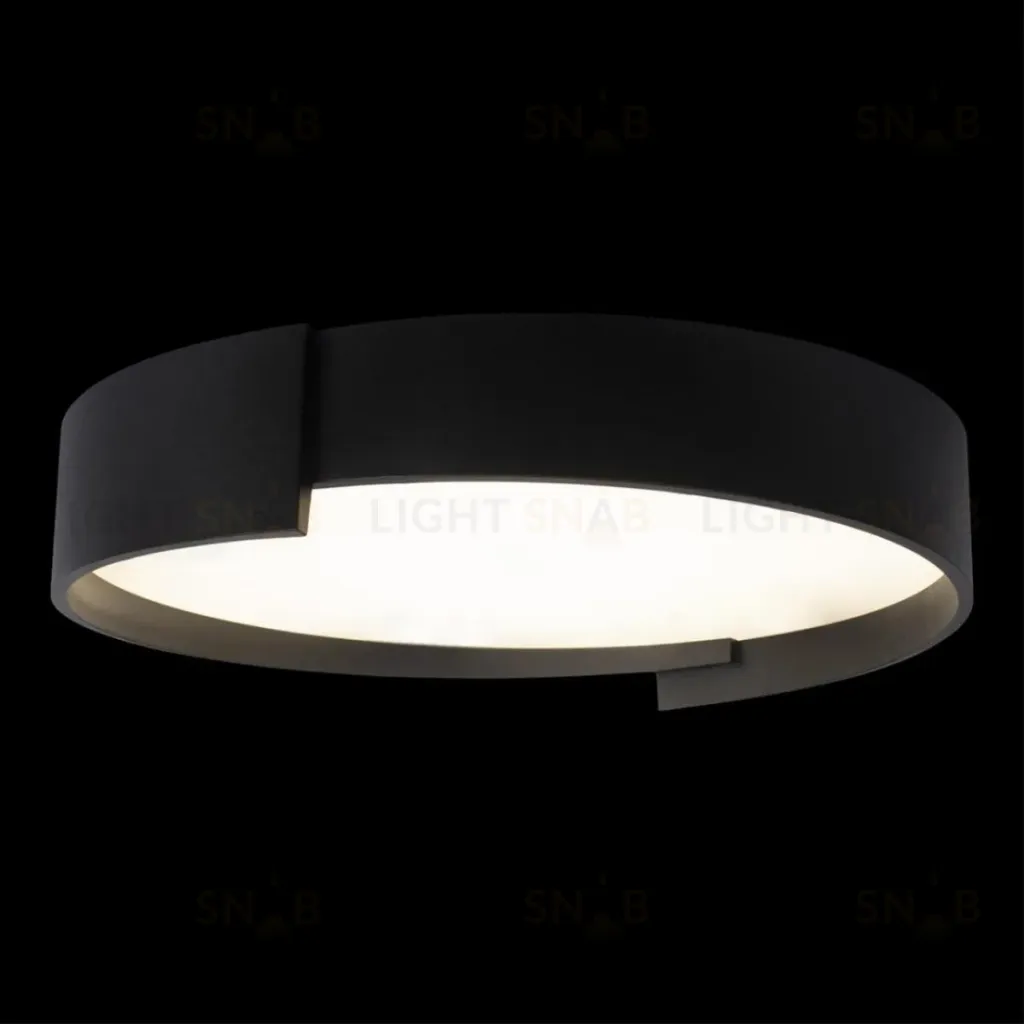 Потолочный светильник Loft IT Coin 10200 Black 10200 Black