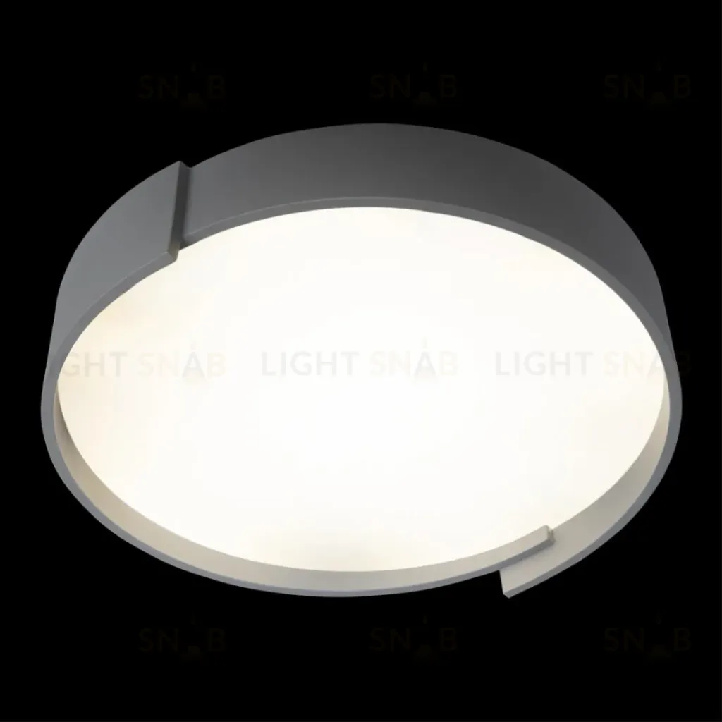 Потолочный светильник Loft IT Coin 10200 Grey 10200 Grey