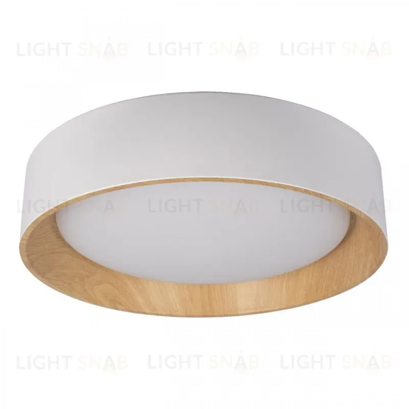 Потолочный светильник Loft IT Coin 10202 White 10202 White