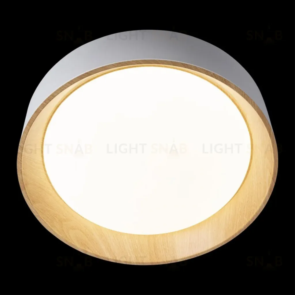 Потолочный светильник Loft IT Coin 10202 White 10202 White