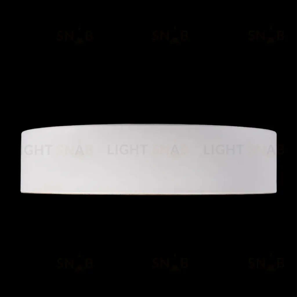 Потолочный светильник Loft IT Coin 10202 White 10202 White
