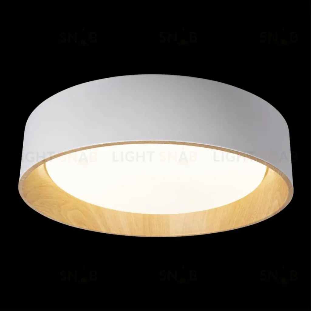 Потолочный светильник Loft IT Coin 10202 White 10202 White