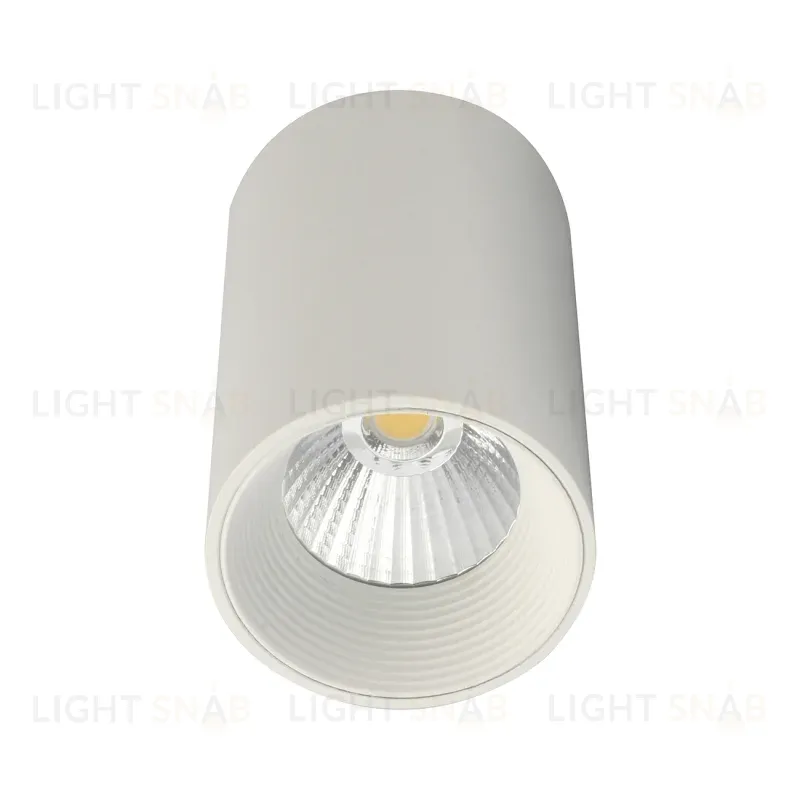 Потолочный светильник 20003 20003SMU/01LED SWH 20003SMU/01LED SWH