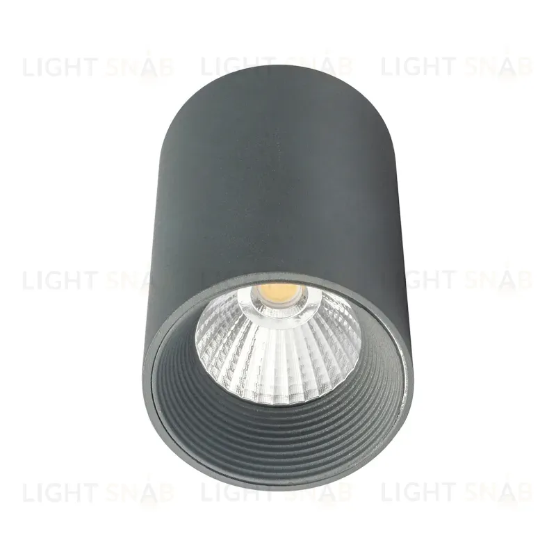 Потолочный светильник 20003 20003SMU/01LED SGY 20003SMU/01LED SGY