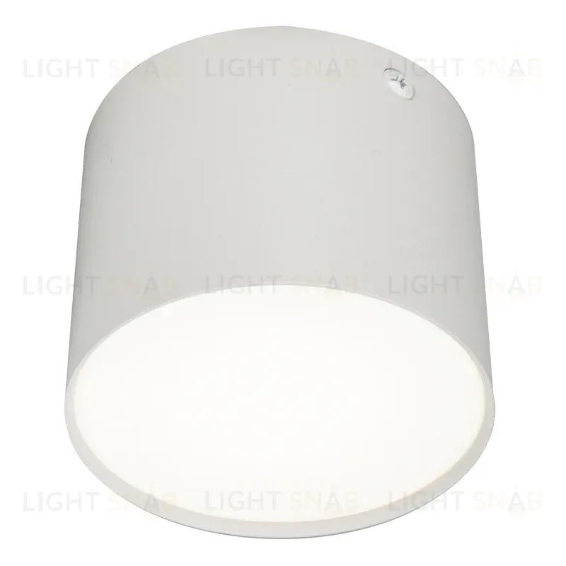 Потолочный светильник 20004 20004SMU/01LED SWH 20004SMU/01LED SWH