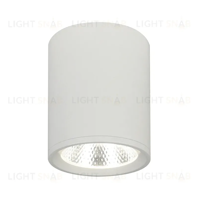 Потолочный светильник 20003 20003SMU/02LED SWH 20003SMU/02LED SWH