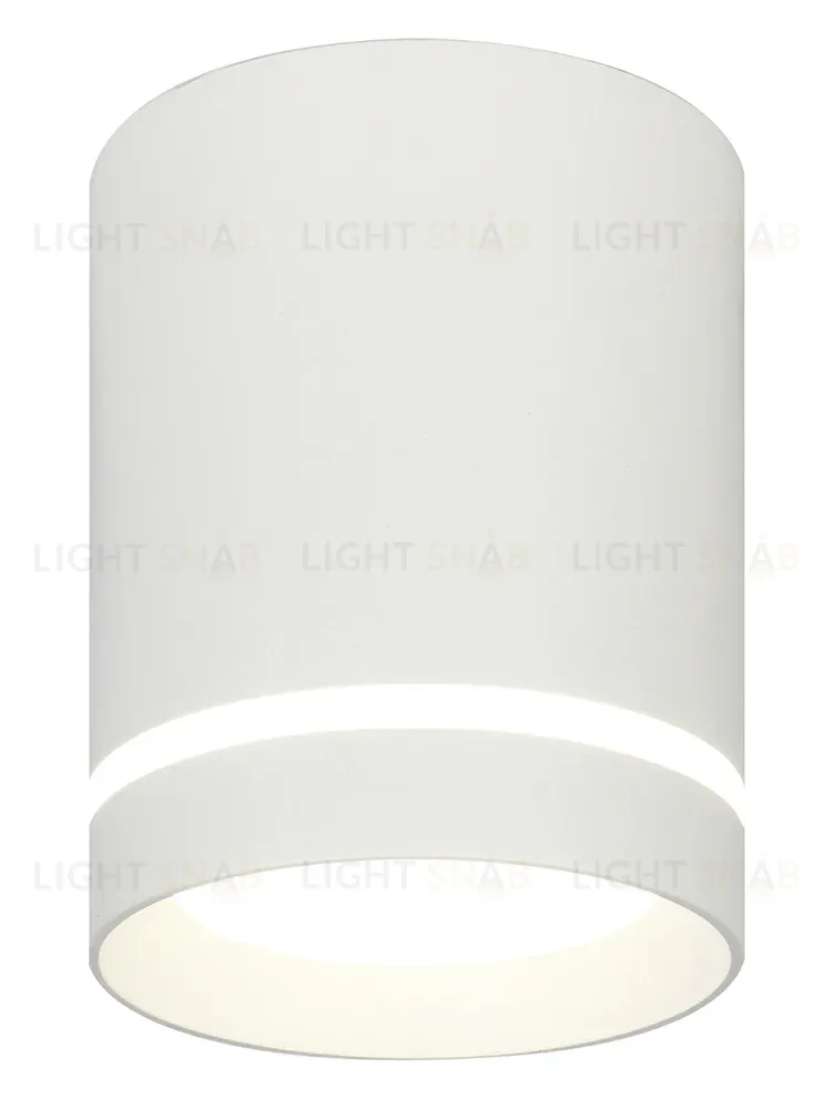 Потолочный светильник 20009 20009SMU/01LED SWH 20009SMU/01LED SWH