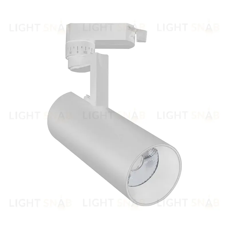 Трековый светодиодный светильник Escada 20029TRA/02LED SWH 20029TRA/02LED SWH
