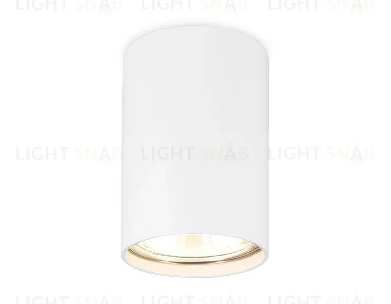 Накладной светильник Ambrella Light Techno Spot TN213101 TN213101