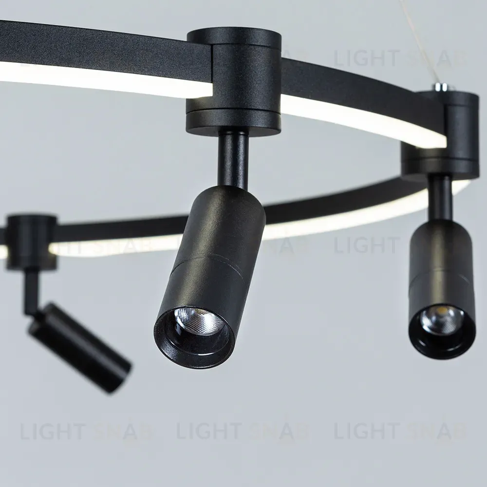 Подвесная люстра Arte Lamp Ring A2186SP-1BK A2186SP-1BK