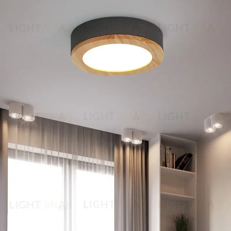 Потолочный светильник ImperiumLoft Wudda 179766-26 179766-26