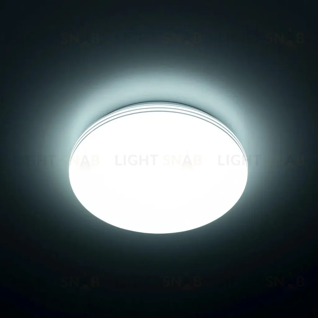 Потолочный светильник Citilux Симпла CL71424SV CL71424SV