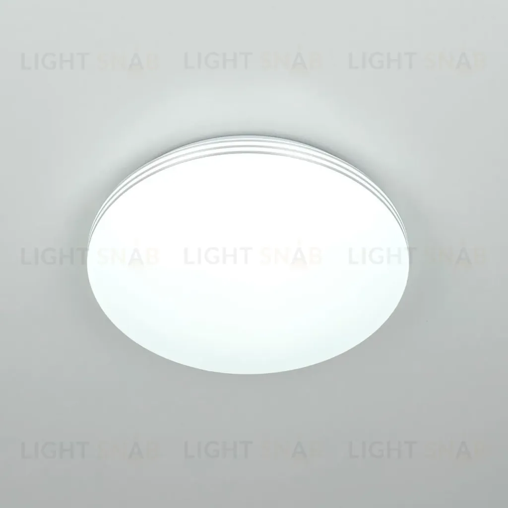Потолочный светильник Citilux Симпла CL71424SV CL71424SV