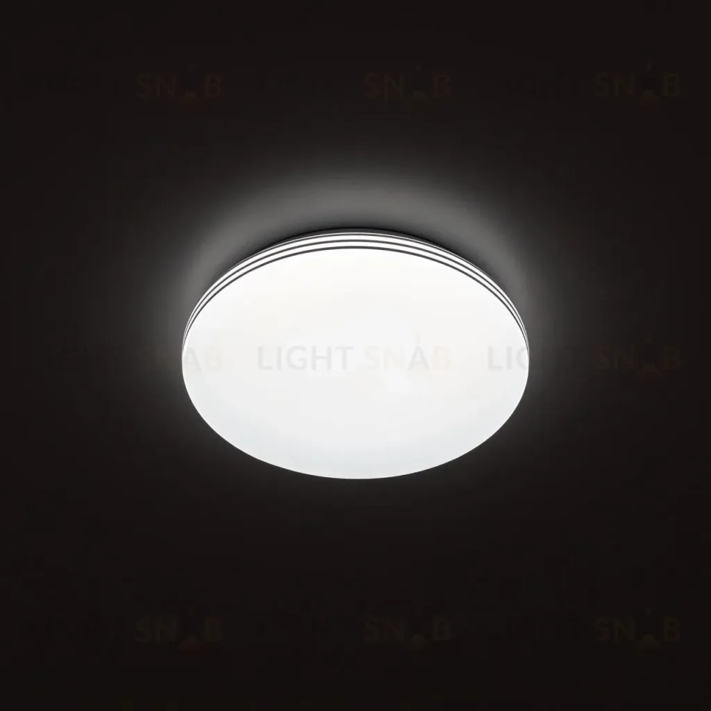Потолочный светильник Citilux Симпла CL71424SV CL71424SV