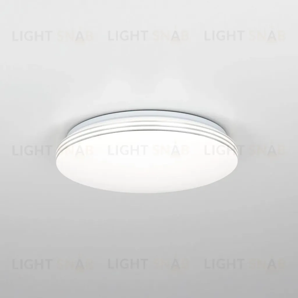 Потолочный светильник Citilux Симпла CL71424SV CL71424SV