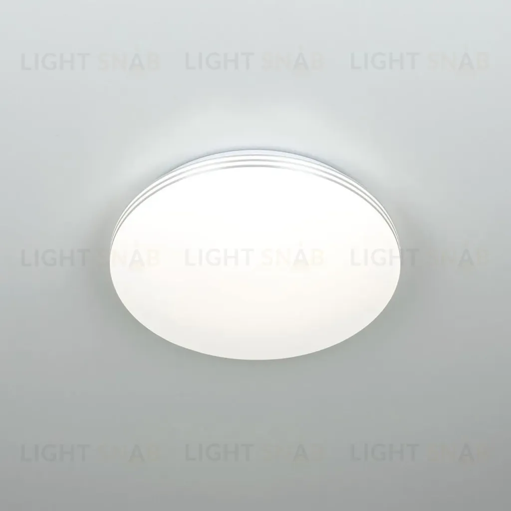 Потолочный светильник Citilux Симпла CL71424SV CL71424SV