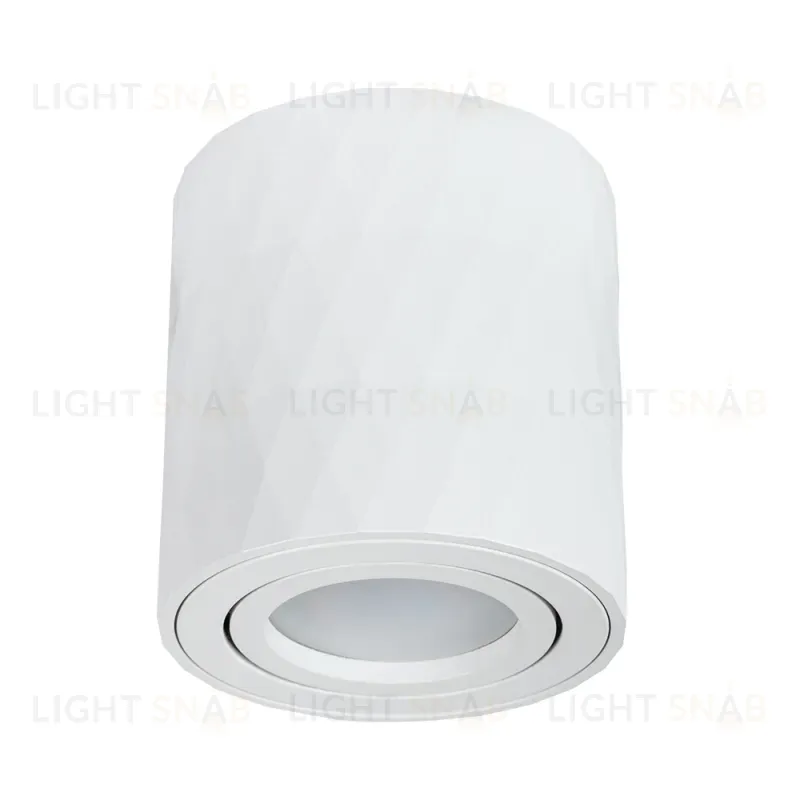 Накладной светильник Arte Lamp Fang A5559PL-1WH A5559PL-1WH
