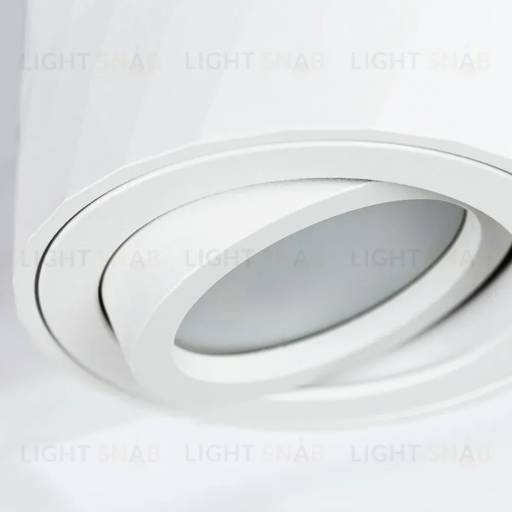 Накладной светильник Arte Lamp Fang A5559PL-1WH A5559PL-1WH