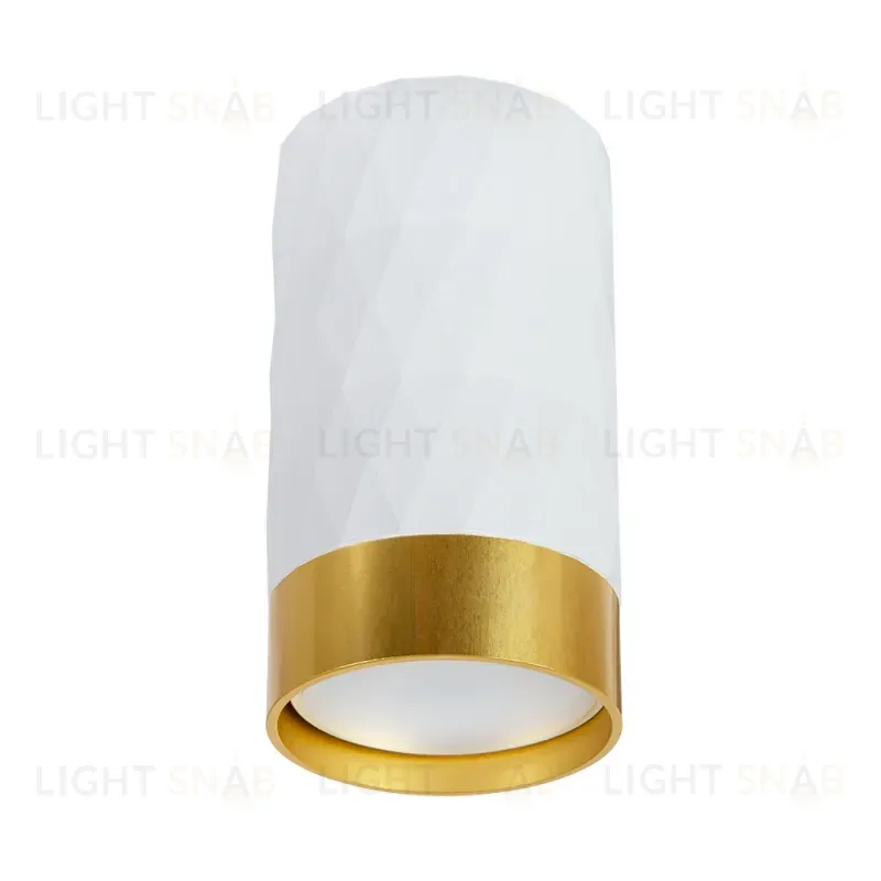 Накладной светильник Arte Lamp Fang A5558PL-1WH A5558PL-1WH