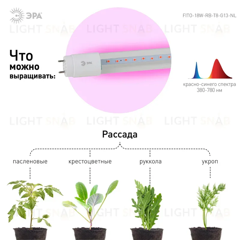 Фитолампа для растений Эра FITO-18W-RB-Т8-G13-NL Б0042990 Б0042990