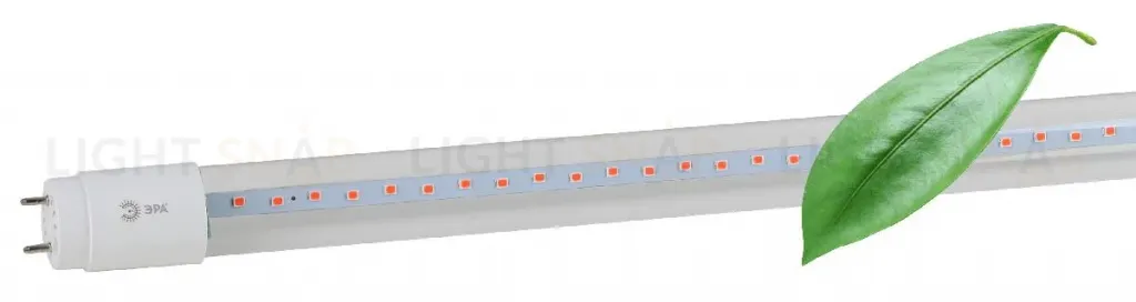 Фитолампа для растений Эра FITO-18W-RB-Т8-G13-NL Б0042990 Б0042990