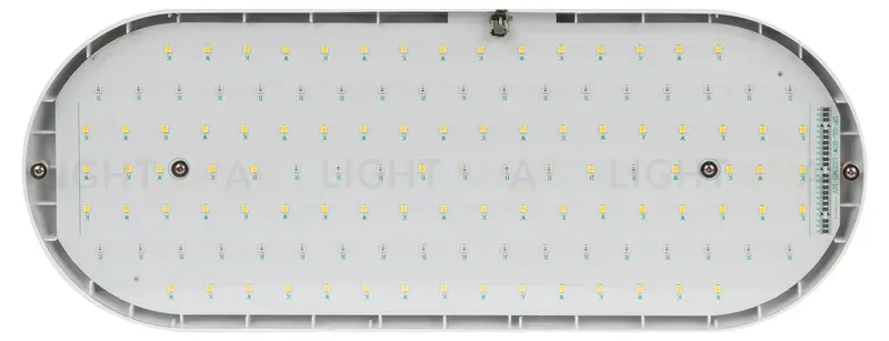 Подвесной светильник для растений Эра FITO-25W-QLED-FLY Б0053062 Б0053062