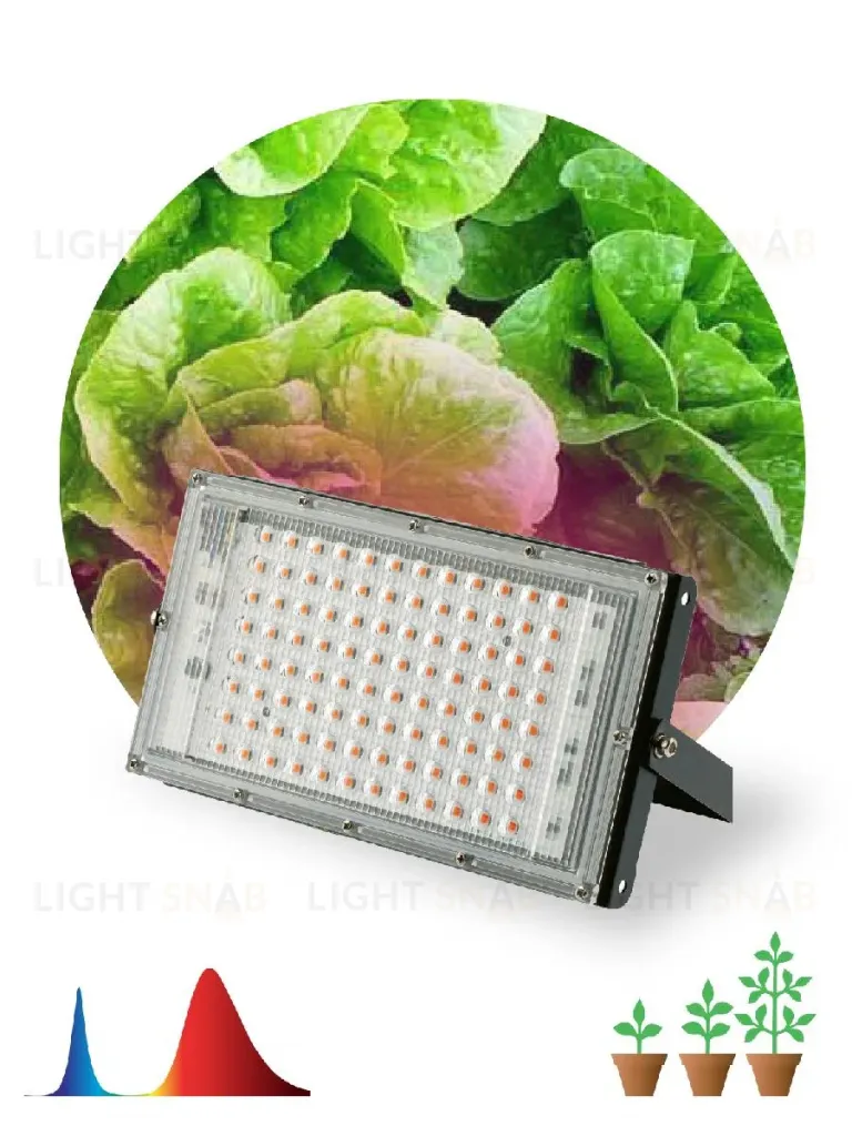 Фитопрожектор для растений Эра FITO-80W-RB-LED-Y Б0053082 Б0053082