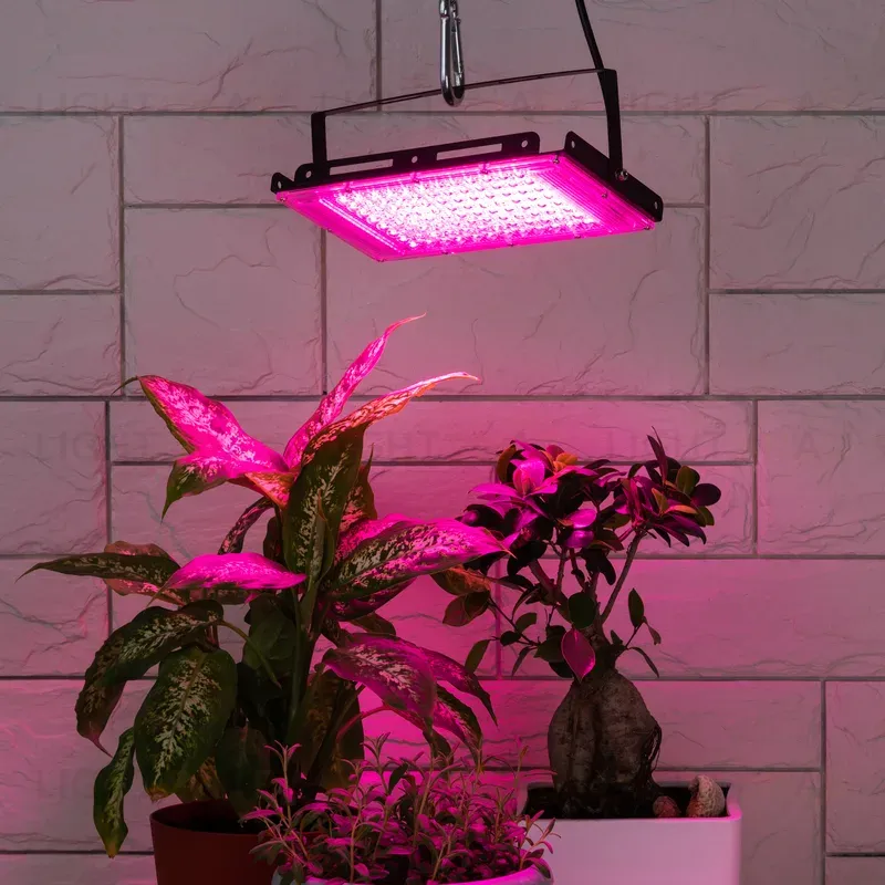 Фитопрожектор для растений Эра FITO-80W-RB-LED-Y Б0053082 Б0053082