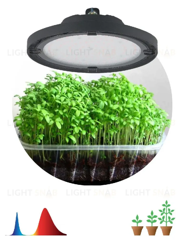 Фитопрожектор для растений Эра FITO-50W-RB-LED-UFO Б0053280 Б0053280
