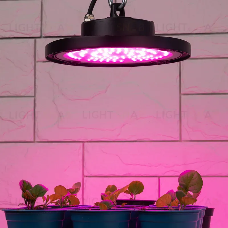 Фитопрожектор для растений Эра FITO-50W-RB-LED-UFO Б0053280 Б0053280