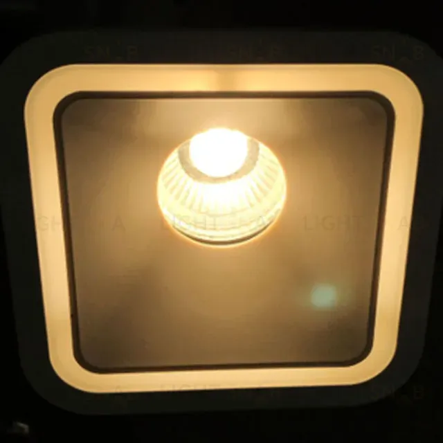 Встраиваемый светильник Kanlux Imines DSL-W 29030 29030