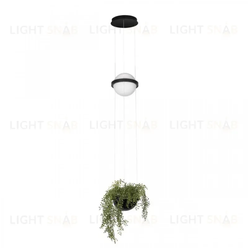 Подвесной светильник Loft IT Jardin 10121/B 10121/B