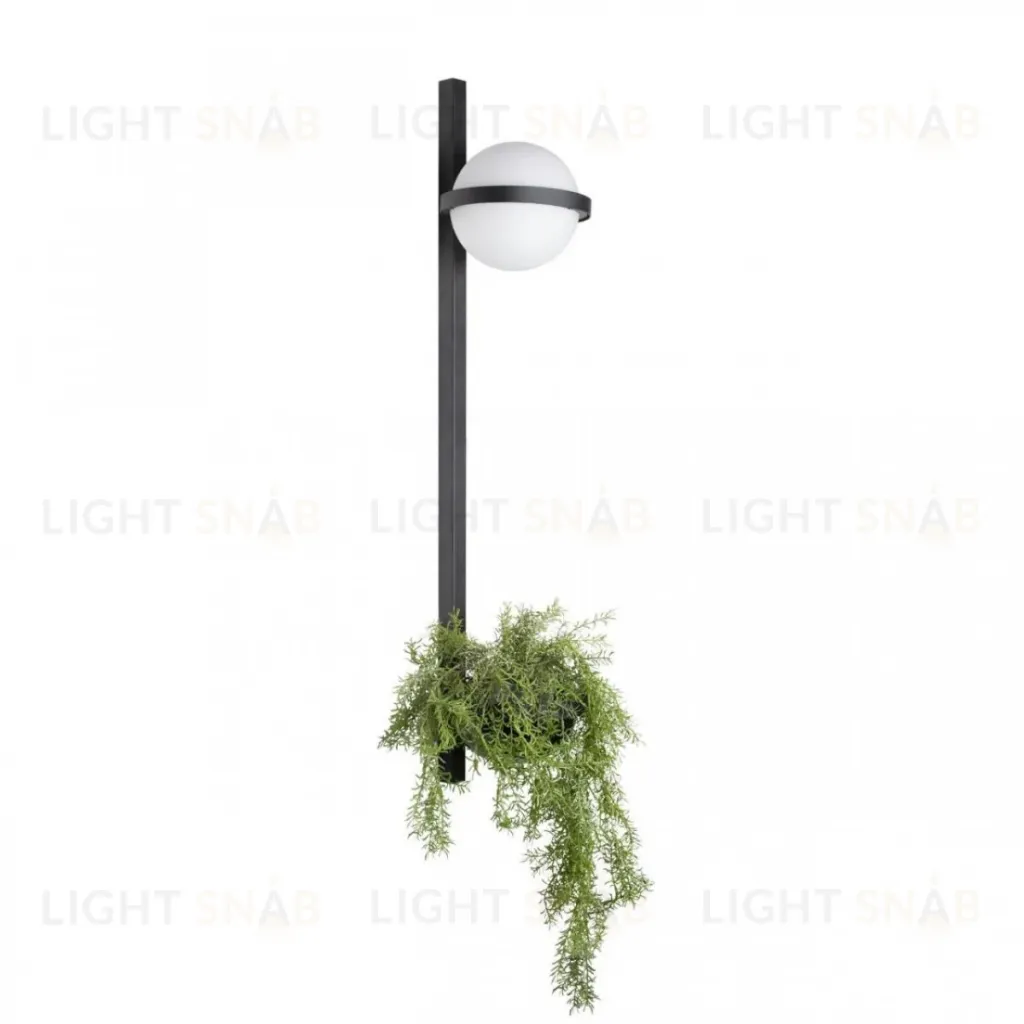 Настенный светильник Loft IT Jardin 10121W/B 10121W/B