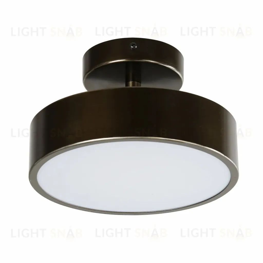Потолочный светильник F-Promo Atma 3060-2P 3060-2P