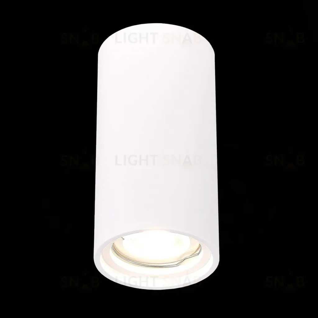 Потолочный светильник ST Luce ST155.502.01 ST155.502.01