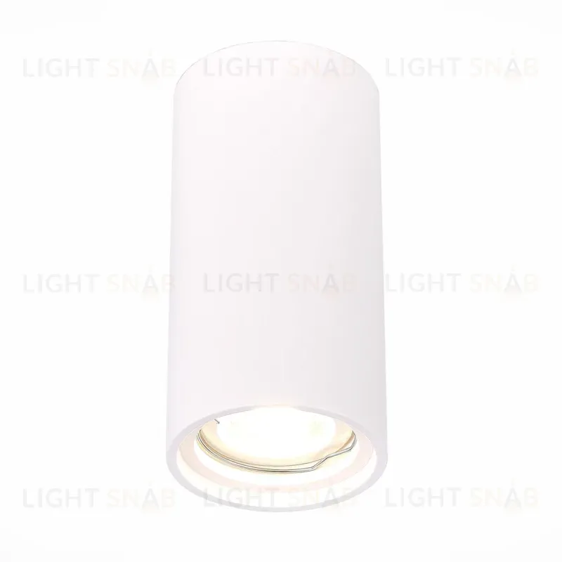 Потолочный светильник ST Luce ST155.502.01 ST155.502.01