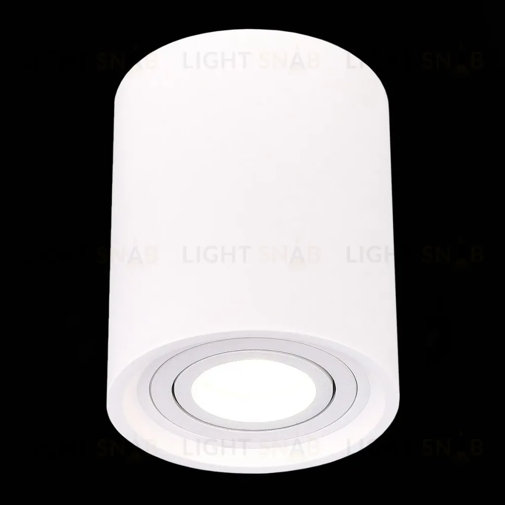 Потолочный светильник ST Luce ST156.502.01 ST156.502.01