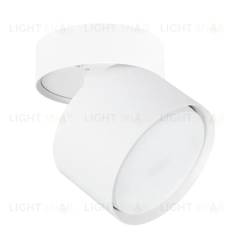 Накладной спот Arte Lamp Intercrus A5549PL-1WH A5549PL-1WH