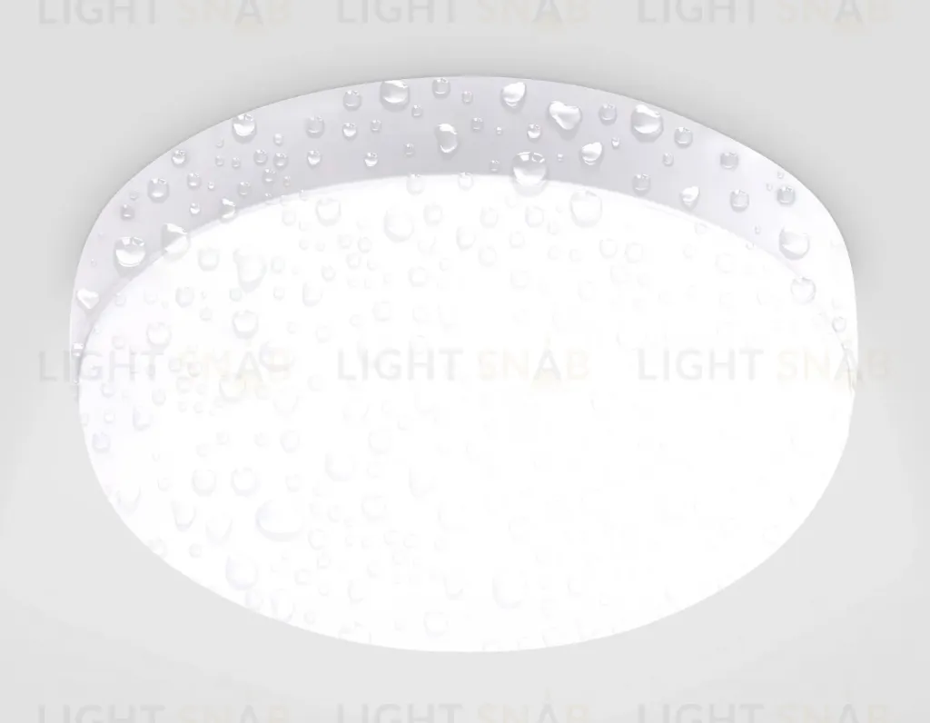 Уличный потолочный светильник Ambrella Light Street ST8624 ST8624