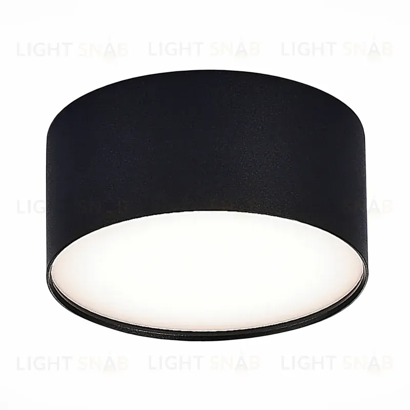 Потолочный светильник ST Luce Functional ST606.442.12 ST606.442.12