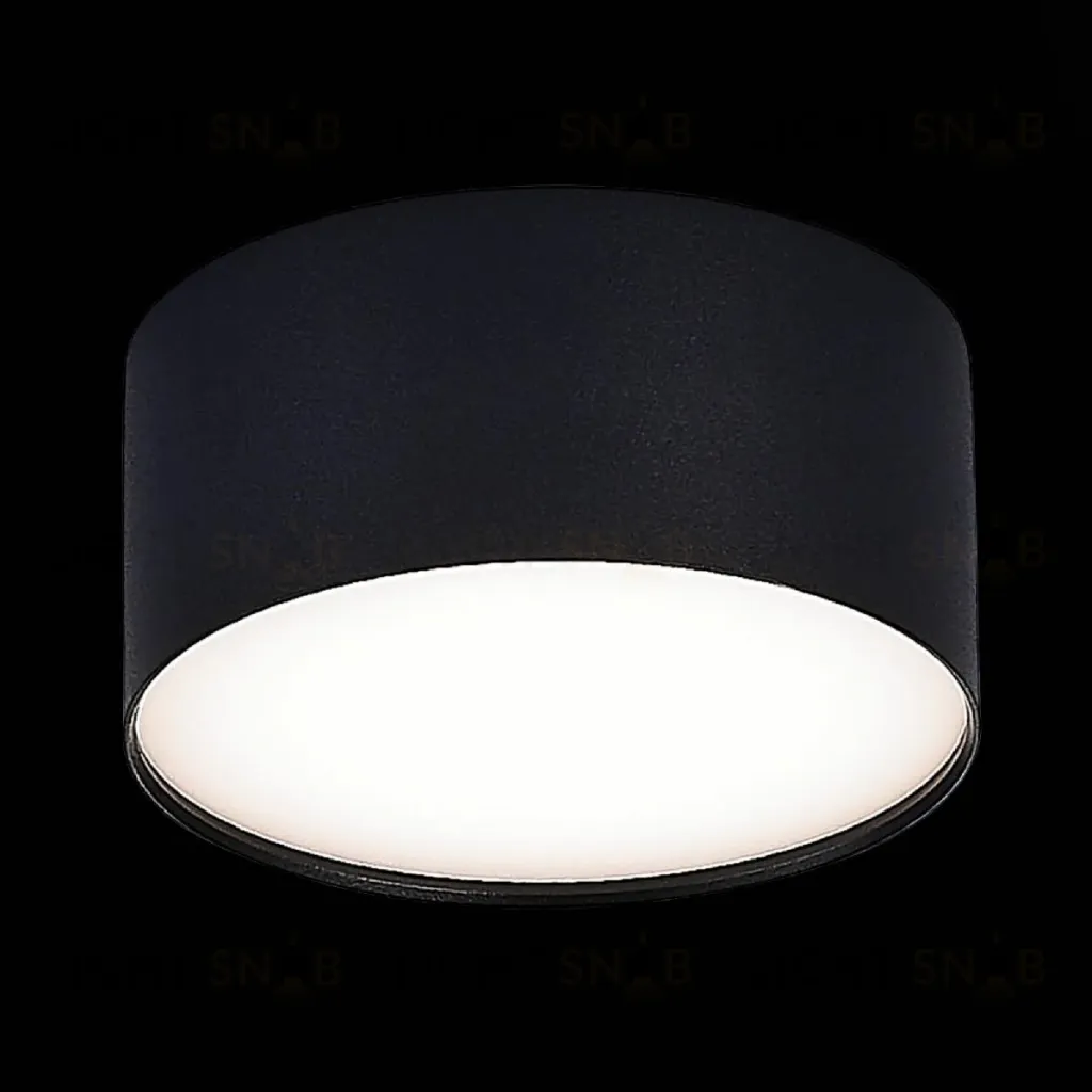 Потолочный светильник ST Luce Functional ST606.442.12 ST606.442.12