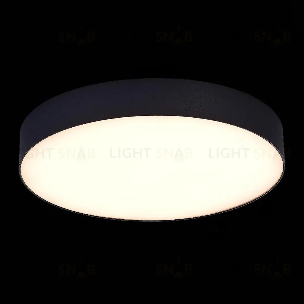 Потолочный светильник ST Luce ST606.432.48 ST606.432.48