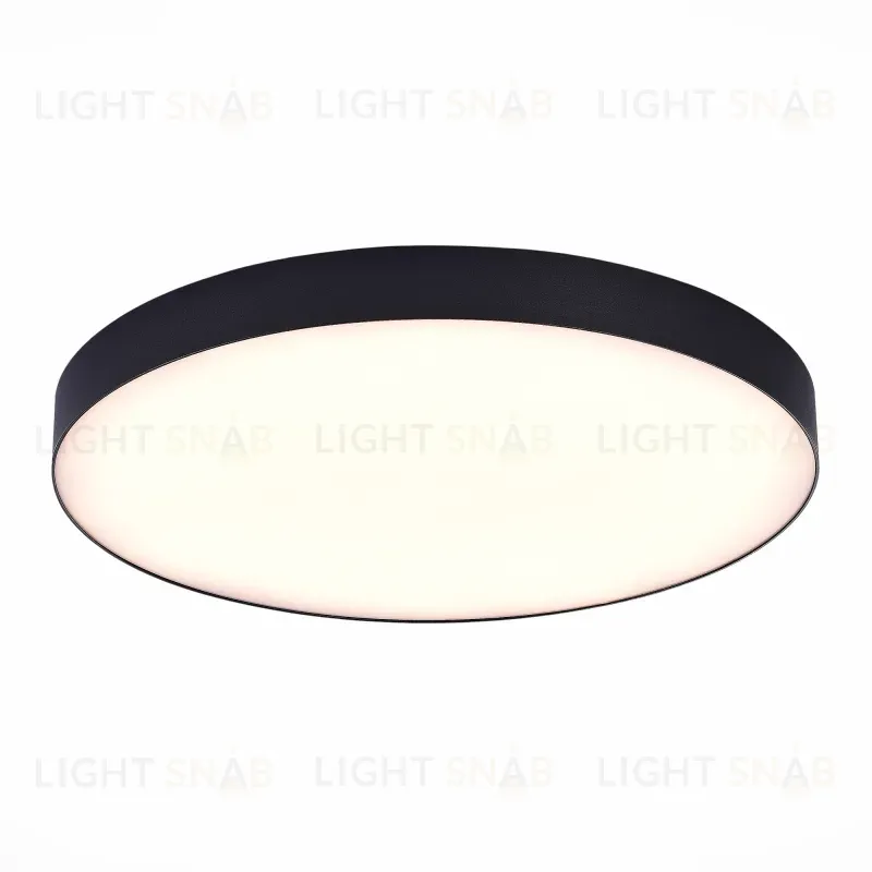 Потолочный светильник ST Luce ST606.432.96 ST606.432.96